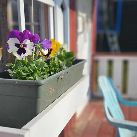 Lejlighed Unique Mailo Riga