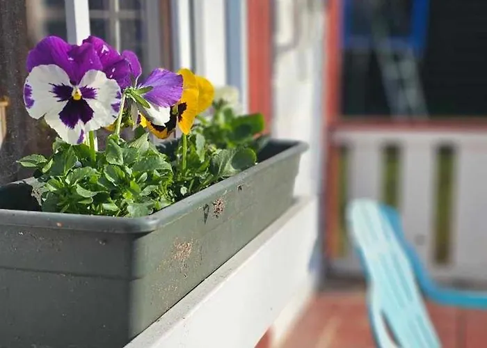 Apartment Unique Mailo Riga